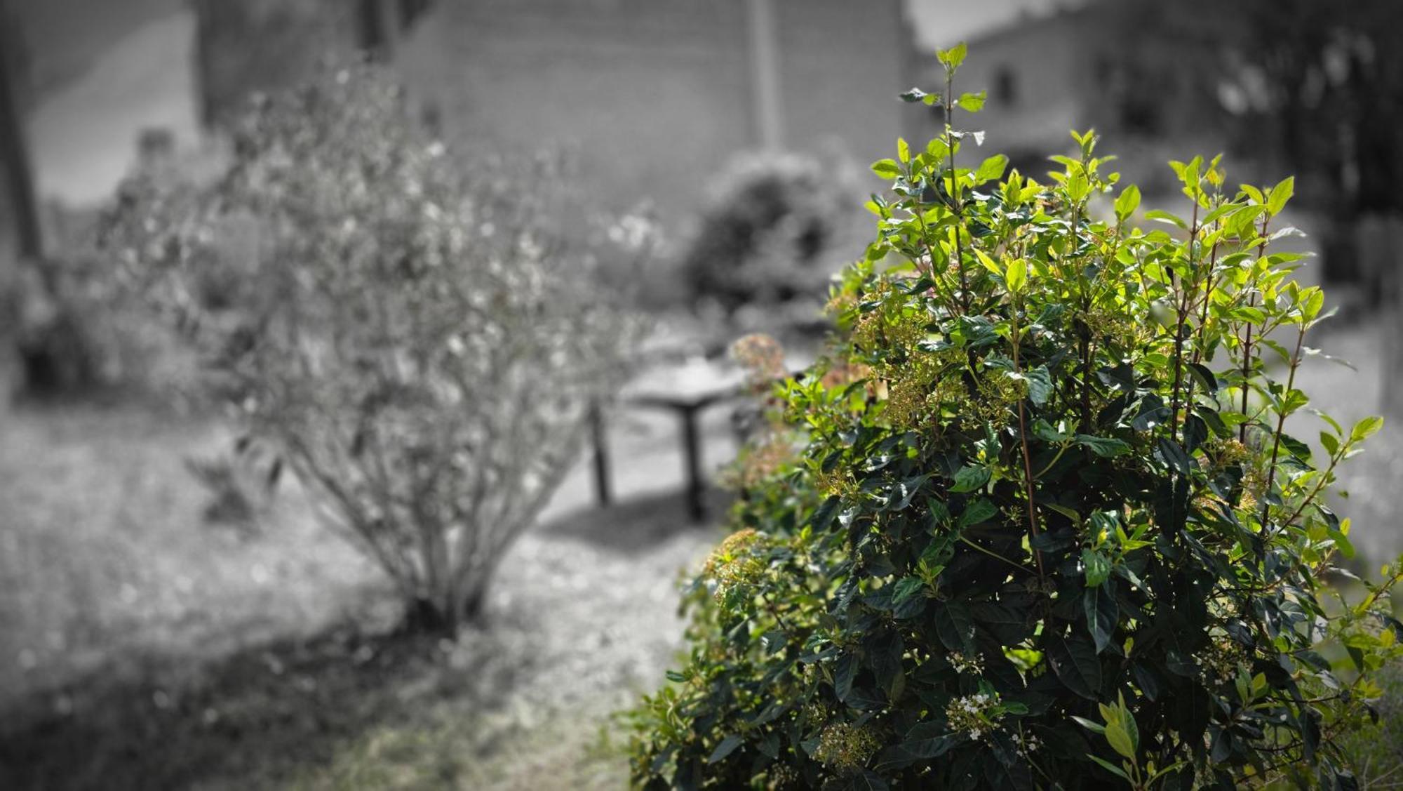 A Casa Di Gabri Villa Montefollonico Bagian luar foto